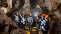 Half Day Cradle Of Humankind Tour
