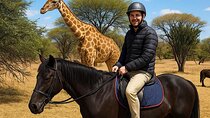 Exhilarating Horseback Safari from Johannesburg