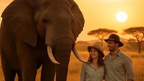 Elephant Sanctuary Tour from Johannesburg
