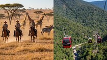 Horseback Safari & Cable Car Ride from Johannesburg 