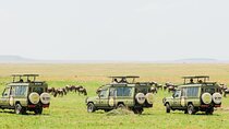 10-Day Epic Tanzania Migration Safari - River Crossing 