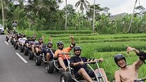 Ubud Jungle Cart Adventure + Volcano view Tour.