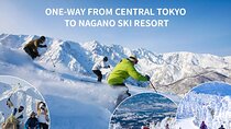 One-Way from Central Tokyo to Nagano Ski Resort