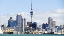 Award Winning Auckland Highlights Half Day City Adventure