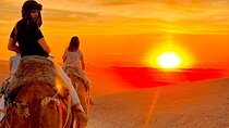 Marrakech Agafay Desert Sunset Camel Ride and Dinner Show