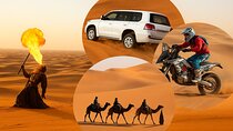 Doha Desert Safari Dune Bashing Camel Riding and Sandboarding