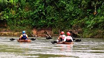 Wildlife Safari Experience by Kayak