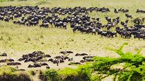 7-Day Heart of Tanzania Safari – Nature’s Finest Show