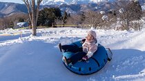 From Nagoya: Snow Day in the Japan Alps & Shirakawago