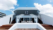 Luxury Dolphin Cruise in Ha Long Bay – Buffet Lunch, Pool & Party