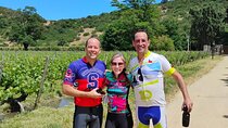 Biking Colchagua Wine Valley (4 DAYS)