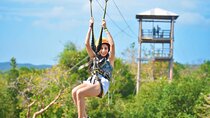 Jamwest Negril Zipline and JamCulture Combo