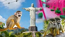 2x1: City Tour & Monkey Encounter tour combo Puerto plata