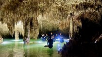 Tulum Ancestral Waters Cave Cenotes Jungle Walk and Meal