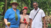 Spice Farm Prison Island and Stone Town Tour Full Day Experience