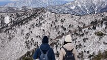 Seoraksan National Park & Nami Island