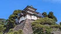 Tokyo Imperial Palace Shogun and Edo Castle Walking Tour