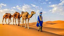 Discover Merzouga in 3 Days Camel Trek and Berber Camp Experience