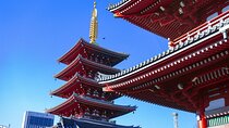 Tokyo: Big Highlights - Asakusa, Shibuya & Meiji Shrine tour