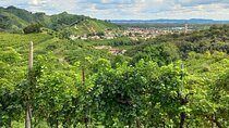 Prosecco Hills Day Trip from Venice & Treviso: 2 Wineries