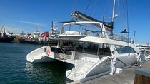 Day Sail Eco Ocean Safari (Hotel Pickup & Dropoff incl) CAPE TOWN
