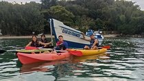 SUP Kayak Tour French Island from Canasvieiras Florianopolis