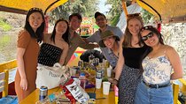 Private Tour to Xochimilco, Coyoacan and the World of Frida Kahlo