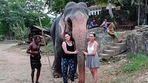 Private Day Tour of Sigiriya, Dambulla and Elephant Safari