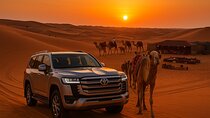 VIP Red Dune Safari with 4x4 Pick/Drop,CamelRide,BBQ Dinner,Shows