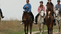 2 Days All-Inclusive Tushetian Winter Village Horse Tour