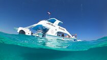 Punta Cana Catamaran: Nonstop Spring Break Party Experience