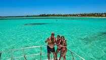 Punta Cana Private Catamaran Spring Break Party, Snorkel & BBQ