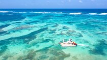 Punta Cana Private Catamaran Cruise: Snorkeling, Beach & BBQ