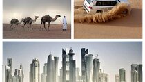 Combo Doha City and Desert Safari Tour Qatar