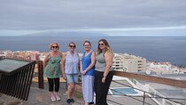 Custom Private Tenerife Highlights Tour with Photo Session