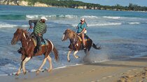 Want to Learn to Gallop at Bavaro Punta Cana Beach!