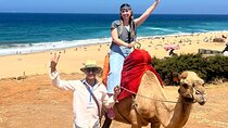 Tangier in One Day with seaside views, Camel Ride and Medina Tour