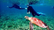 Okinawa：From Naha Full‐Day Kerama Islands Snorkeling Tour