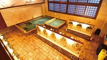 Tokyo Tattoo friendly Onsen (Hot Spring,public Bath) Experience