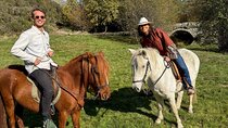Exclusive Horse and Wine Tasting Tour in the Douro