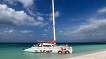 Private Catamaran Cruise to Bahia de las Aguilas