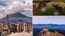 All Inclusive Pompeii, Vesuvius, wine tasting & light lunch 