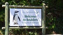 Cape of Good Hope, Penguins and Chapman's Peak full day tour