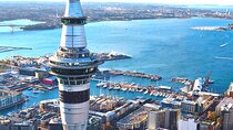Auckland City Half Day Top Sightseeing Tour(Small Group Tour)