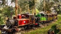 Puffing Billy, Forest Trails and Yarra Valley Discovery Tour