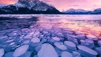 Winter Abraham Bubble Lake and Icefield Parkway