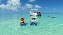Private boat Charter Dolphin & Snorkeling tour Sandbar Key West