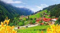 Ayder Turu Private Tour