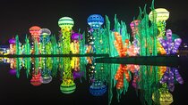 Dubai Garden Glow