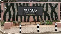 Giraffe Centre visit Nairobi
